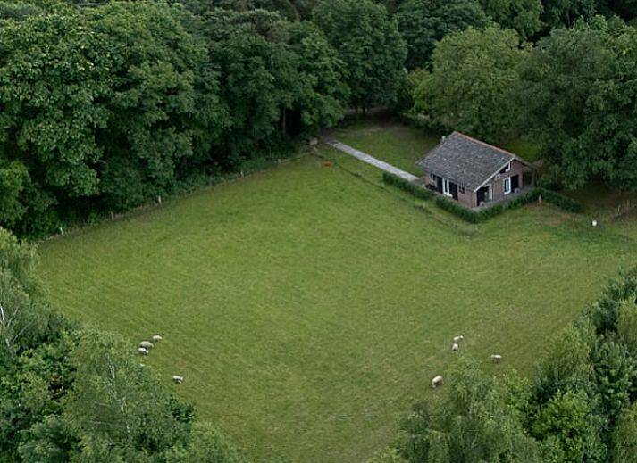 Ferienhaus in Ruurlo in der Achterhoek mit grossem Garten und gruener Umgebung in Gelderland.
