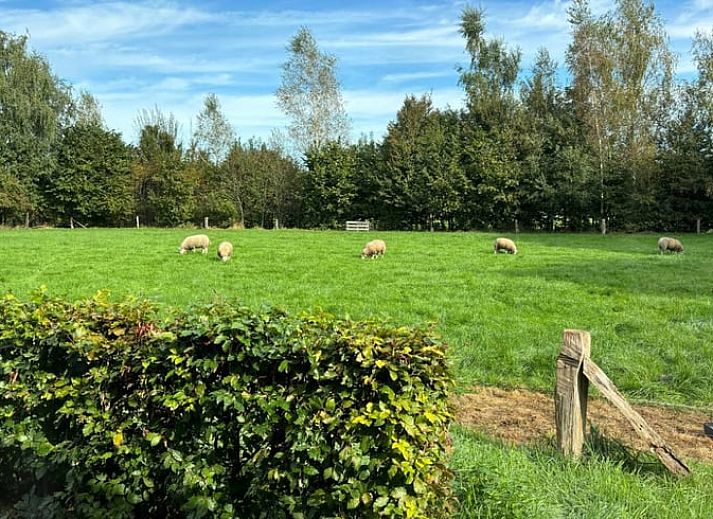 Esstisch und Kueche im Ferienhaus Cottage in Ruurlo, gelegen in Gelderland.