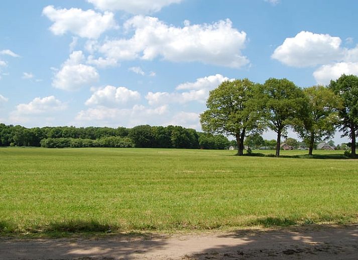 Stijlvolle binnenruimte van Huisje in Ruurlo, vakantiewoning in Ruurlo, Achterhoek.