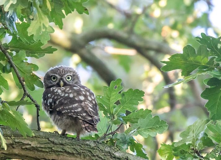 Moderne woonkamer van Huisje in Ruurlo, vakantiehuis in de Achterhoek, Gelderland.
