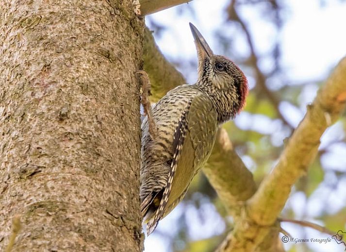 Moderne woonkamer van Huisje in Ruurlo, vakantiehuis in de Achterhoek, Gelderland.
