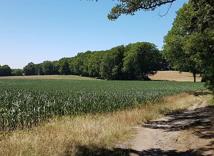 Moderne woonkamer van Huisje in Ruurlo, vakantiehuis in de Achterhoek, Gelderland.