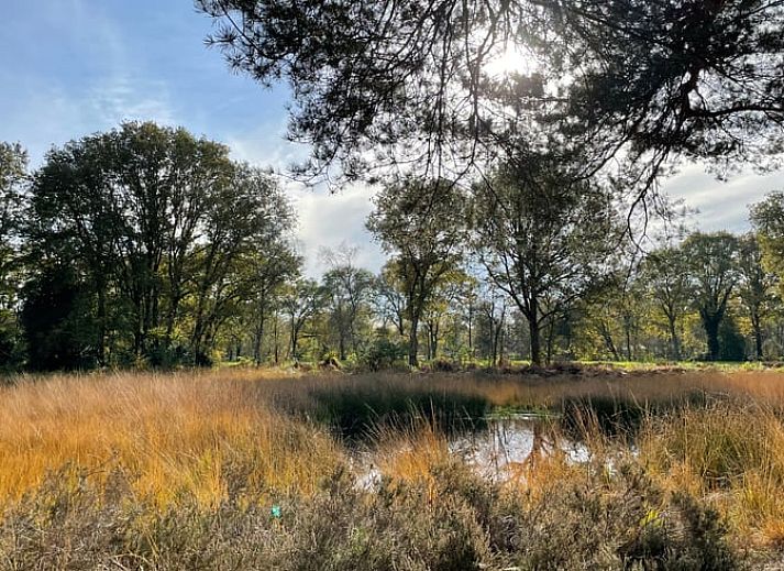 Moderne woonkamer van Huisje in Ruurlo, vakantiehuis in de Achterhoek, Gelderland.