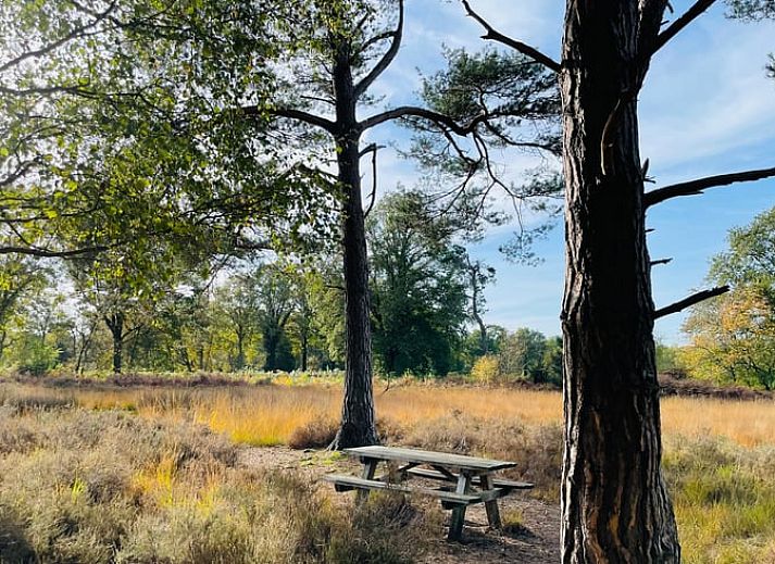 Comfortabele zithoek in Huisje in Ruurlo, vakantiewoning in Ruurlo, Gelderland.
