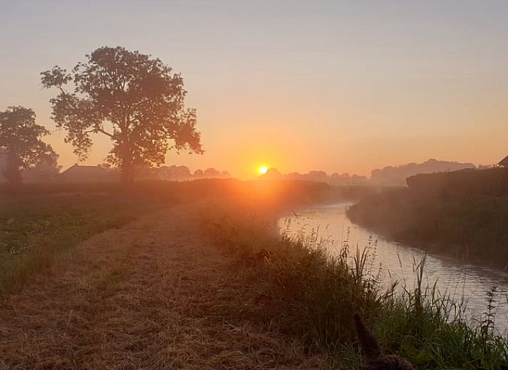 Charming cottage in Westendorp, surrounded by nature in Achterhoek, Gelderland.