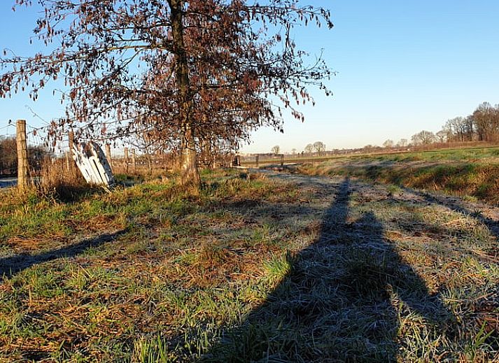 Charming cottage in Westendorp, surrounded by nature in Achterhoek, Gelderland.
