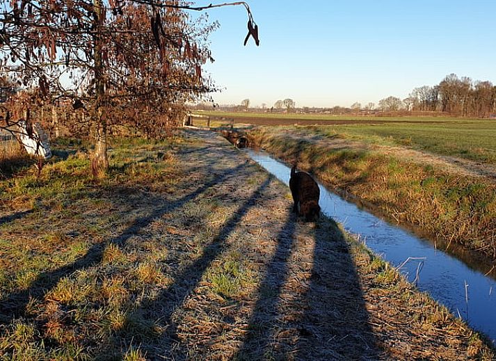 Rustic cottage in Westendorp with wooden details, in the middle of Achterhoek, Gelderland.
