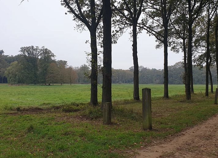 Rustic cottage in Westendorp with wooden details, in the middle of Achterhoek, Gelderland.