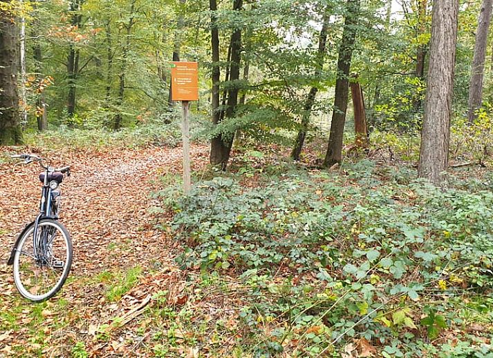 Rustic cottage in Westendorp with wooden details, in the middle of Achterhoek, Gelderland.