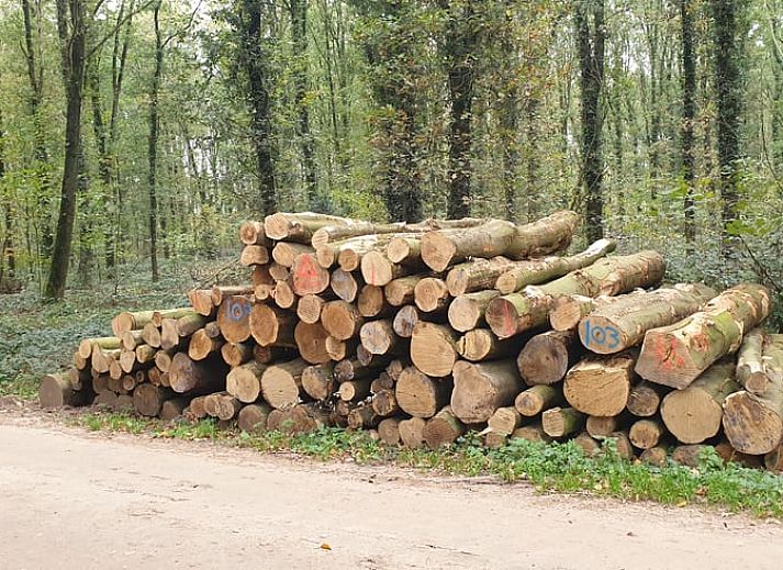 Cozy indoor area of Holiday Home in Westendorp, ideal for relaxing in Achterhoek, Gelderland.