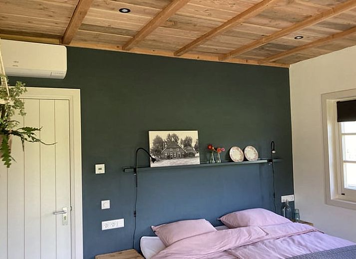 Cottage in Westendorp, a charming bed and breakfast in Achterhoek, Gelderland, with grazing cows in the green yard.