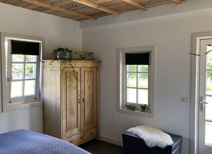 Cottage in Westendorp, a charming bed and breakfast in Achterhoek, Gelderland, with grazing cows in the green yard.