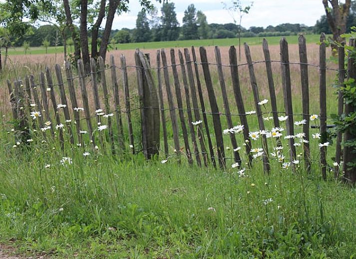 Bright room at Huisje in Westendorp, bed and breakfast in Gelderland, with wooden wardrobe and garden views.