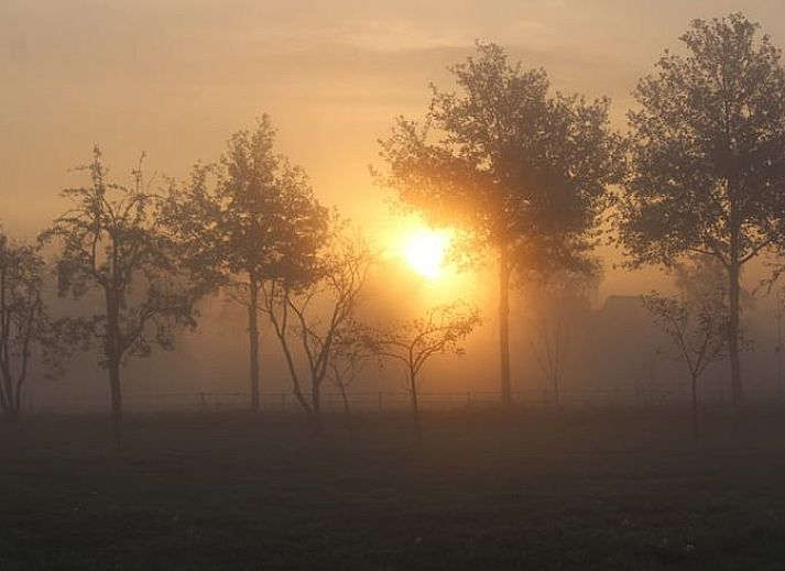 Cozy sitting area in Huisje in Westendorp, bed and breakfast in the Achterhoek, with wooden chairs and views of greenery.