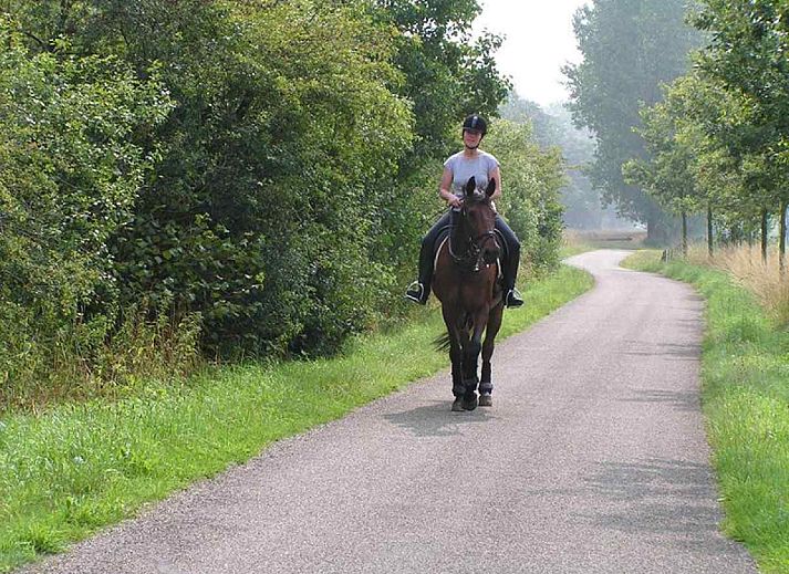 DG631 Ferienhaus in Westendorp Achterhoek mit charmanter Fassade und gruener Umgebung