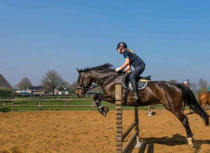Wohnmobilstellplatz bei DG631 Ferienhaus in Westendorp Achterhoek inmitten der Natur