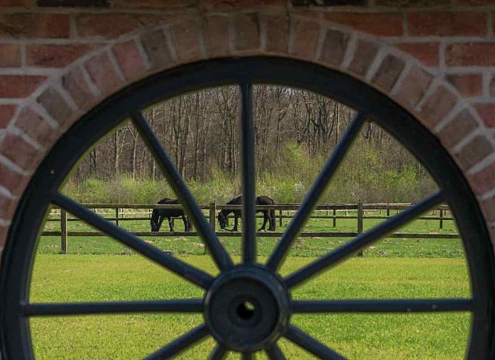 Gemuetliches Wohnzimmer im DG631 Ferienhaus Westendorp Achterhoek mit komfortablen Moebeln