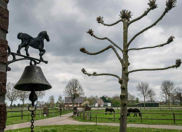 Laendliche Umgebung bei DG631 Ferienhaus in Westendorp Achterhoek mit Pferden