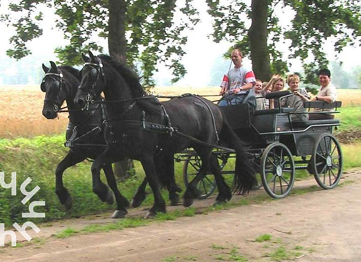 Paardrijden in de natuur rondom DG631 vakantiehuis Westendorp Achterhoek