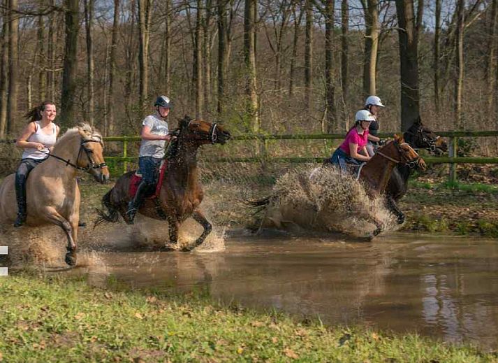 Plattegrond van DG631 vakantiehuis in Westendorp Achterhoek met ruime indeling