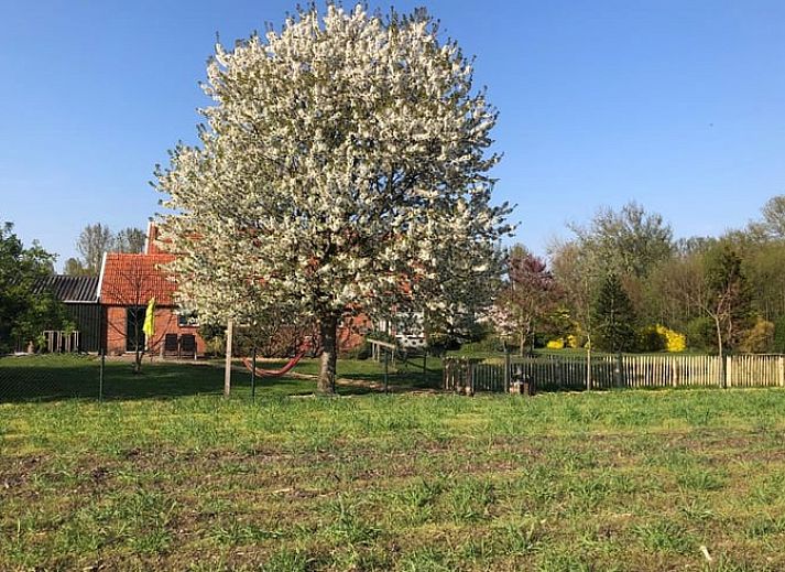 Guest house 291406 - Holiday property Achterhoek - Vakantiehuis in Varsseveld