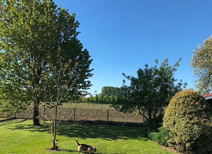 Guest house 291406 - Holiday property Achterhoek - Vakantiehuis in Varsseveld