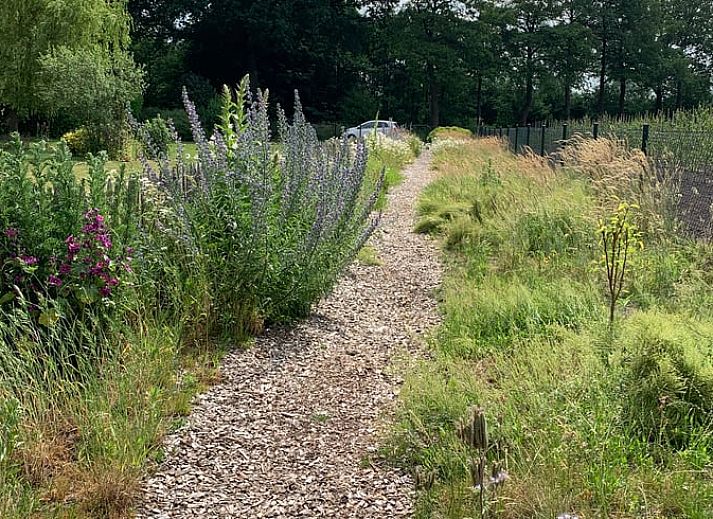 Guest house 291406 - Holiday property Achterhoek - Vakantiehuis in Varsseveld