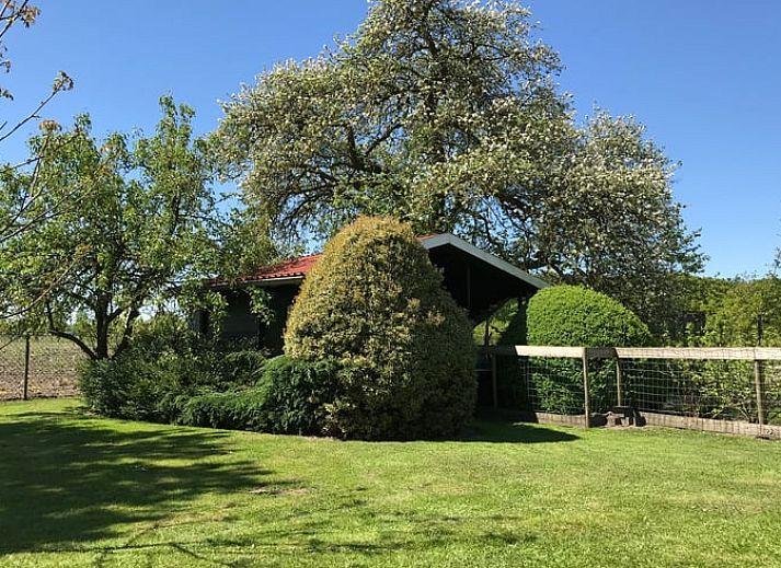 Guest house 291406 - Holiday property Achterhoek - Vakantiehuis in Varsseveld