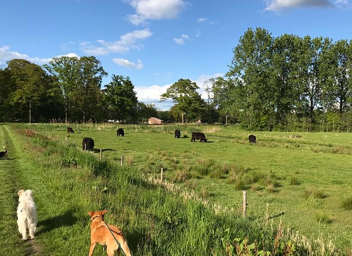 Guest house 291406 - Holiday property Achterhoek - Vakantiehuis in Varsseveld