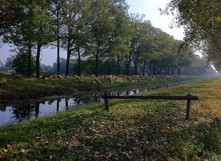 Guest house 291406 - Holiday property Achterhoek - Vakantiehuis in Varsseveld