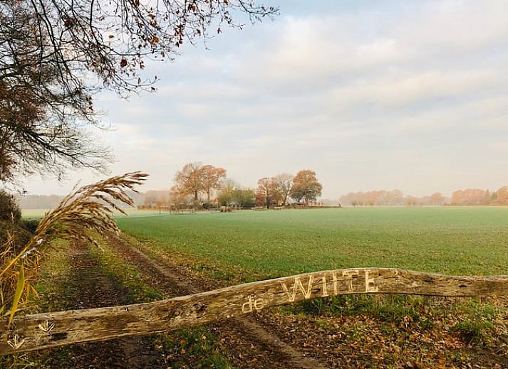Unterkunft 291506 - Ferienhaus Achterhoek - Vakantiehuis in Eefde