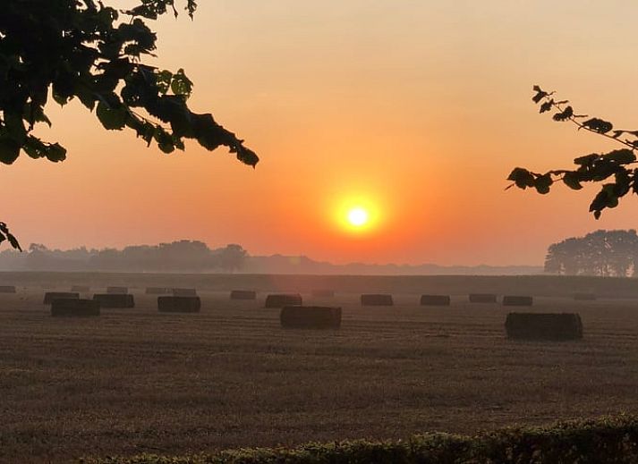 Unterkunft 291506 - Ferienhaus Achterhoek - Vakantiehuis in Eefde