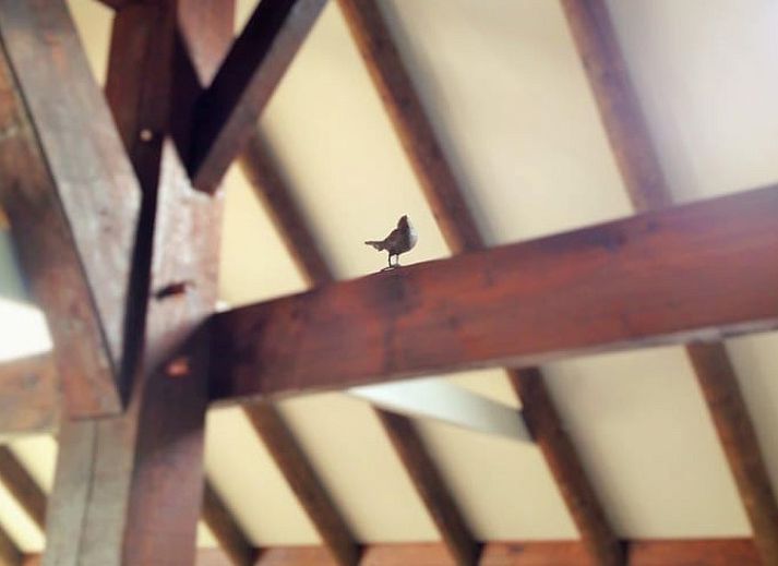 Unterkunft 291506 - Ferienhaus Achterhoek - Vakantiehuis in Eefde