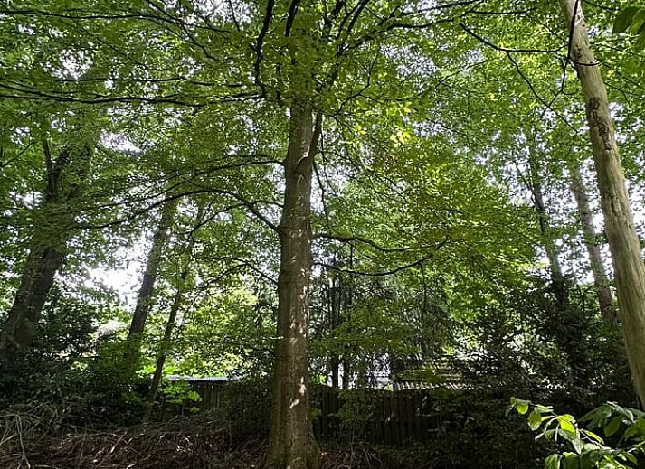 Unterkunft 291507 - Ferienhaus Achterhoek - Vakantiehuis in Eefde