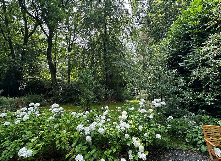 Unterkunft 291507 - Ferienhaus Achterhoek - Vakantiehuis in Eefde