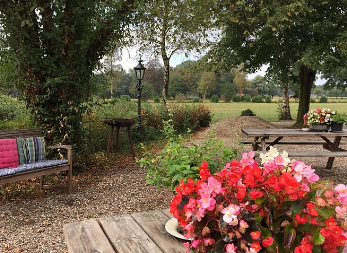 Gemuetliche Terrasse des Ferienhauses in Sinderen, umgeben von der Natur in Achterhoek, Gelderland.