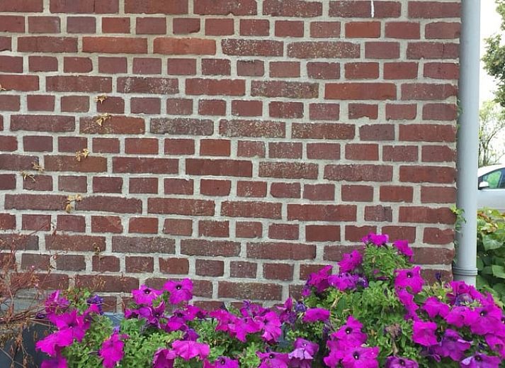Blick von der Terrasse des Ferienhauses in Sinderen, geniessen Sie die Natur der Achterhoek in Gelderland.
