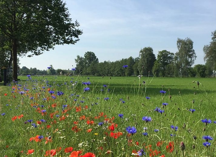 Sonnige Terrasse des Ferienhauses in Sinderen, perfekt fuer das Leben im Freien in Achterhoek, Gelderland.