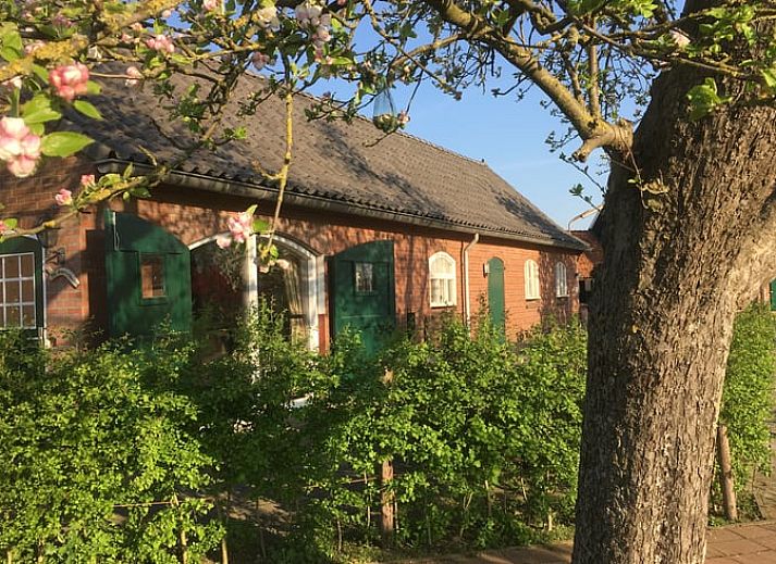 Verblijf 291712 • Vakantiewoning Achterhoek • Vakantiehuisje in Aalten