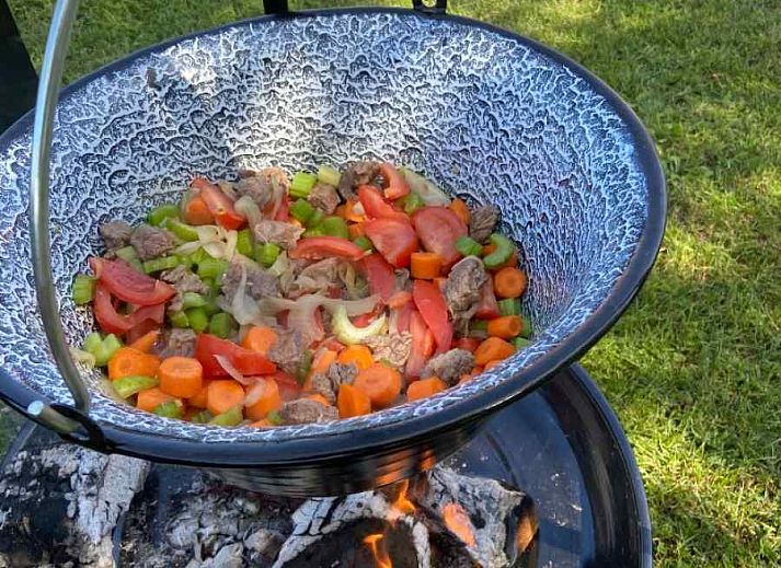 Gezellig terras met eettafel bij DG470 vakantiehuis in de Achterhoek