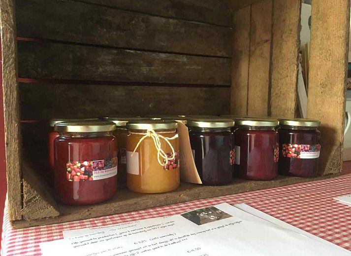 DG471 vakantiehuis in Aalten, Achterhoek. Traditioneel huis met groene luiken omgeven door groen.