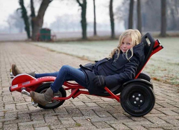 Gezellige voortuin van DG471 vakantiehuis in Aalten, Achterhoek, met bloeiende planten.