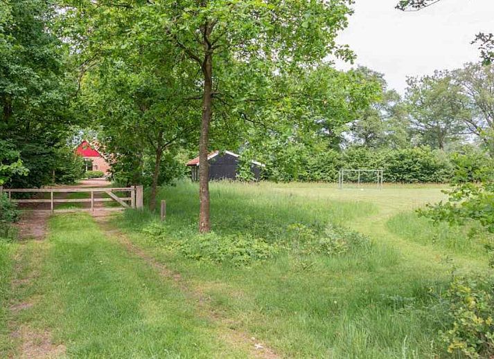 Guest house 291731 - Holiday property Achterhoek - DG696