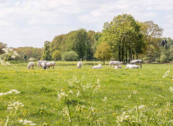 Guest house 291731 - Holiday property Achterhoek - DG696