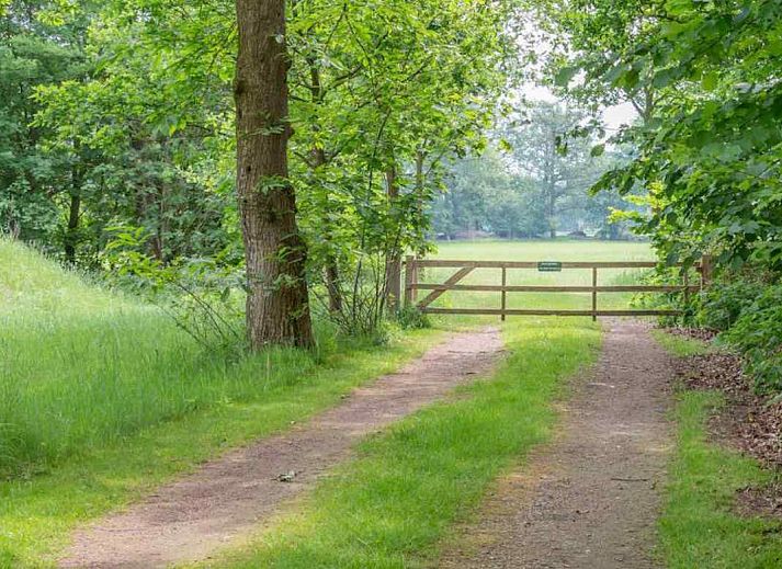 Guest house 291731 - Holiday property Achterhoek - DG696