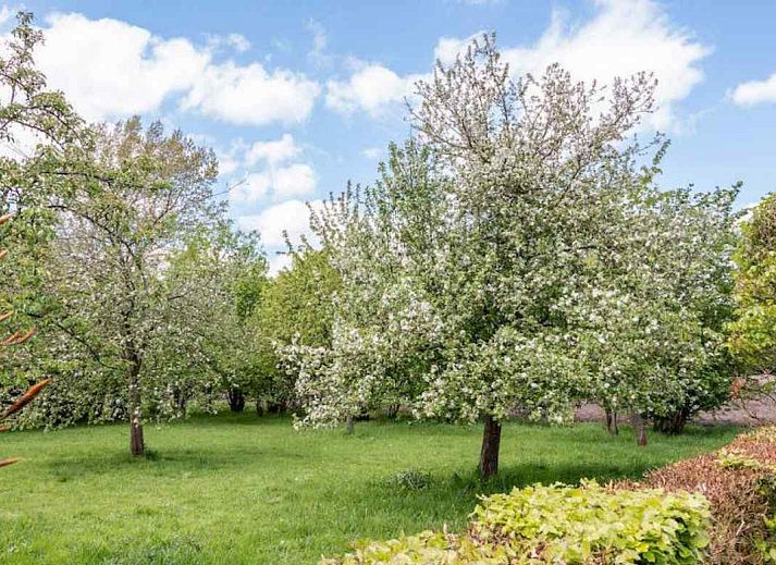 DG694 Ferienhaus in Aalten, Gelderland mit grossem Garten und Terrasse.