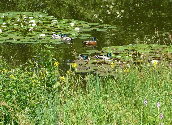 Gezellige slaapkamer in Vakantiehuis in Aalten, Achterhoek, Gelderland, met houten interieur en knusse sfeer.