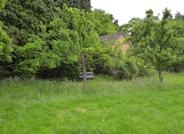 Unterkunft 291745 - Ferienhaus Achterhoek - Huus in t Hagt