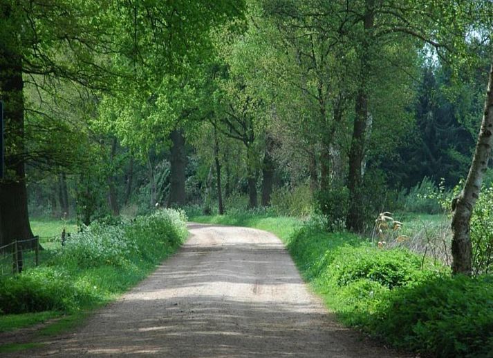 Unterkunft 291745 - Ferienhaus Achterhoek - Huus in t Hagt