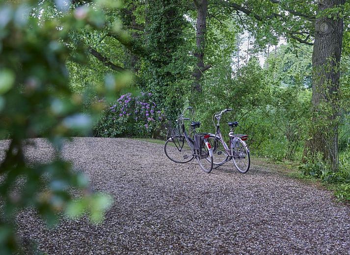 Verblijf 291745 - Vakantiewoning Achterhoek - Huus in t Hagt